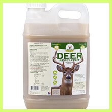 Best Deer Repellents for Garden