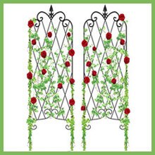 Best Garden Trellises