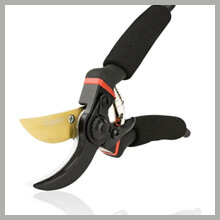 Best Pruning Shears