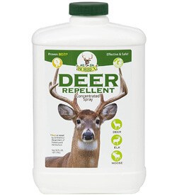 Bobbex Concentrated Deer Repellent