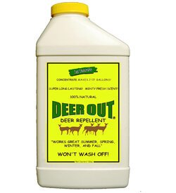 Best Deer Repellents for Garden Reviews