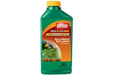 Ortho Weed-B-Gon Plus Crabgrass Control Concentrate