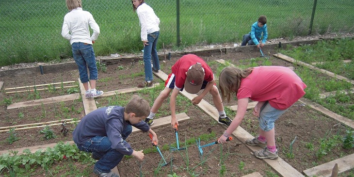 Outdoor Gardens