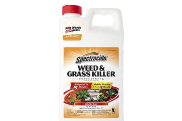 Spectracide Weed & Grass Killer Concentrate
