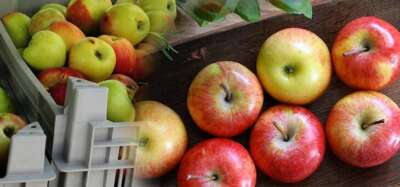 apple juice benefits and side effects