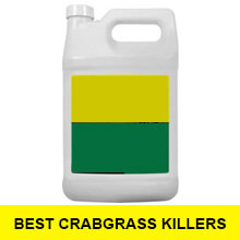 E:\porjects\amazon_affiliate\02_main_homeBlows\Garden\14 -p- best crabgrass killers CopyscapePASSED\tinyPNG