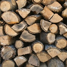 best fireplace wood