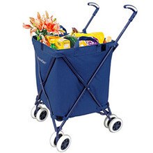 Best folding shopping carts