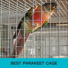 best parakeet cage