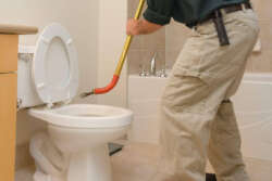 How to Use a Toilet Auger