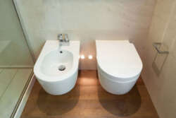 WASHLET vs BIDET